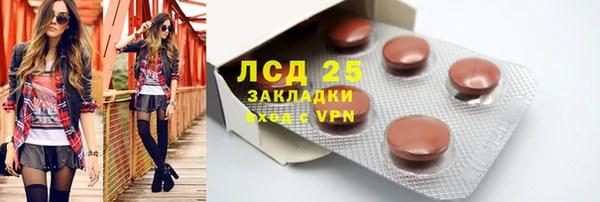 шишки Наволоки