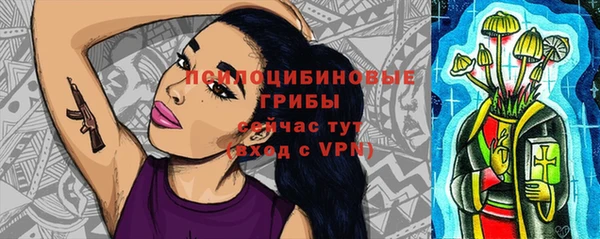 гидра Михайлов